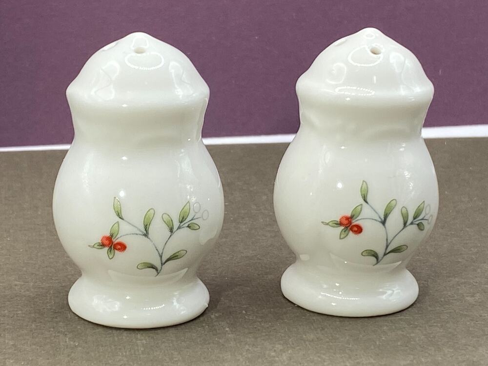 Set of Pfaltzgraff White Porcelain Hand Painted Small Salt & Pepper S&P Shakers
